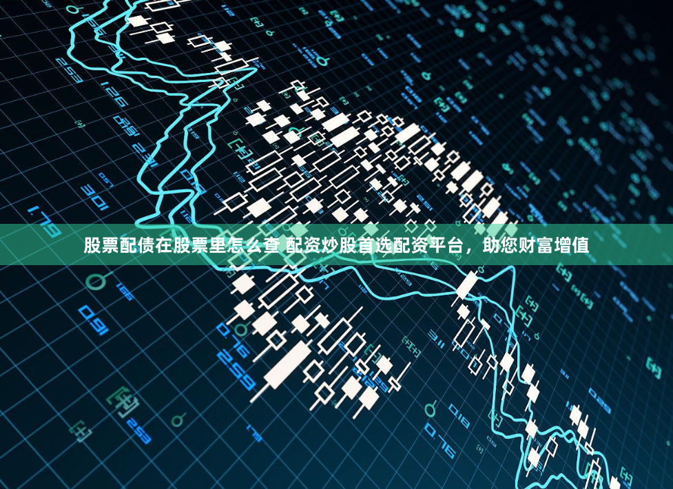 股票配债在股票里怎么查 配资炒股首选配资平台，助您财富增值