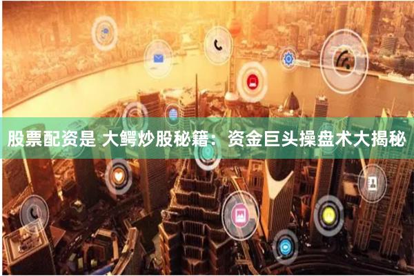 股票配资是 大鳄炒股秘籍：资金巨头操盘术大揭秘